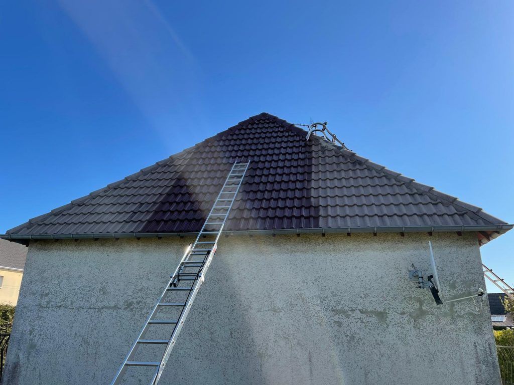 peinture sur toiture